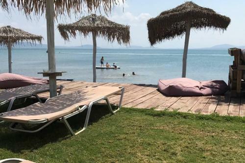 Villa To Rent Near The Beach
