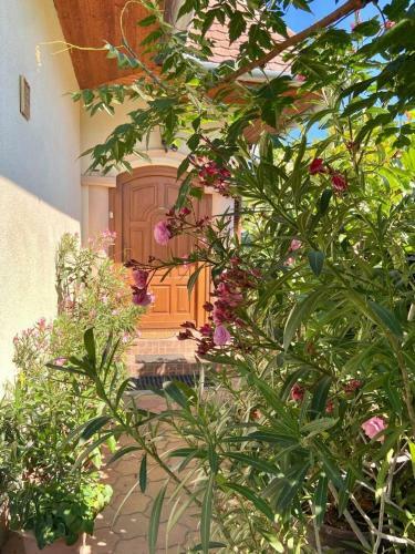 Apartamento Fodor H�z