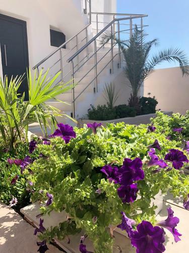 Hostal Villa Lemar