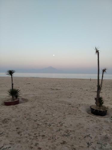 Apartamento Villa Asteria Sarti