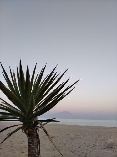 Apartamento Villa Asteria Sarti