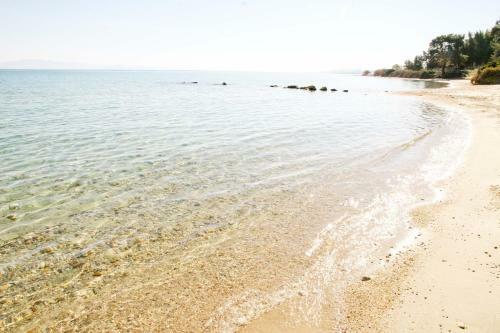 Apartment In Skala Fourkas,100m From The Beach