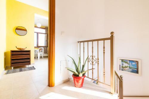 Apartamento F & B Summer Collection - Kassandra - Fourka