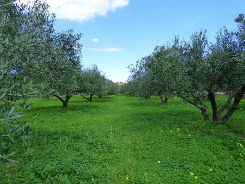 Agroturismo Athos Villa
