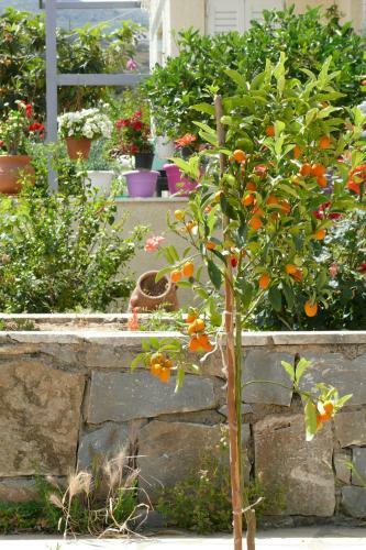 Agroturismo Athos Villa