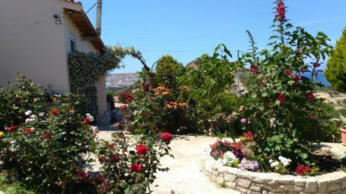 Villa Anna's Family House