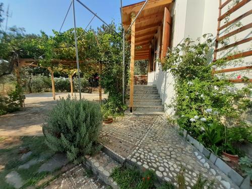 ?? ????? ?? ?? ?????? - Wellcottage Thassos