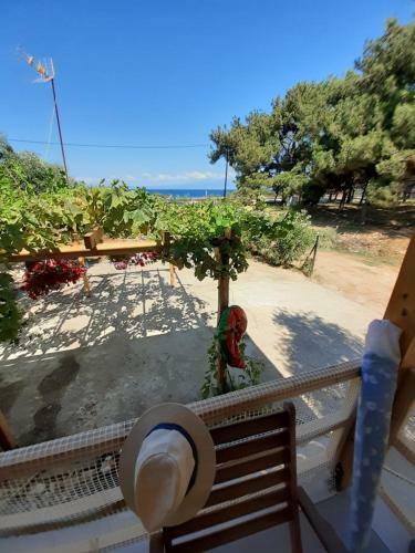 ?? ????? ?? ?? ?????? - Wellcottage Thassos
