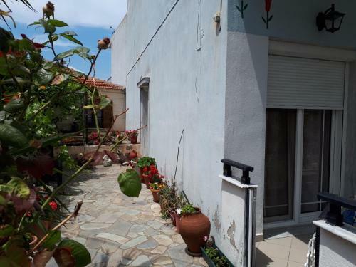 Popi 's Home