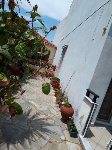 Popi 's Home
