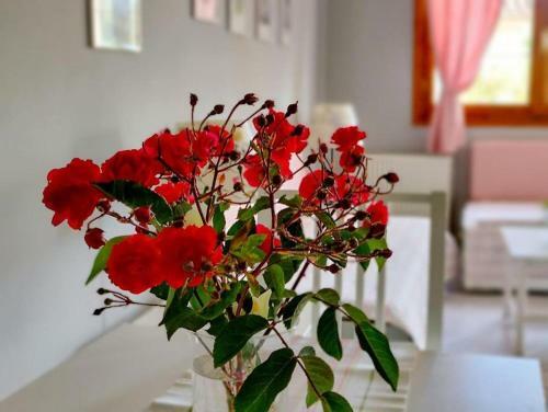 Apartamento Aloe Residents