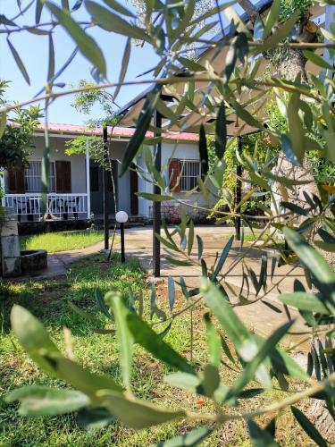 Villa Country House