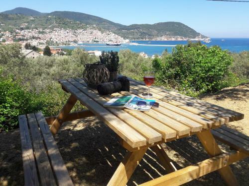 Olive Grove Apartment