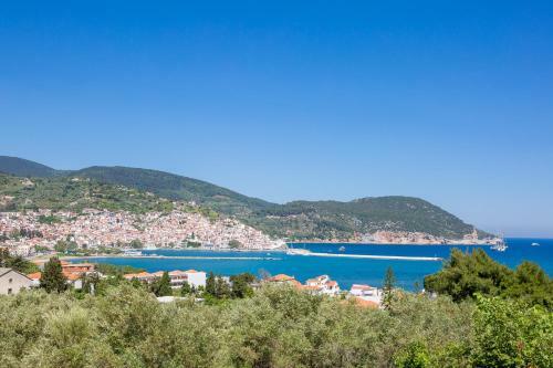 Olive Grove Apartment