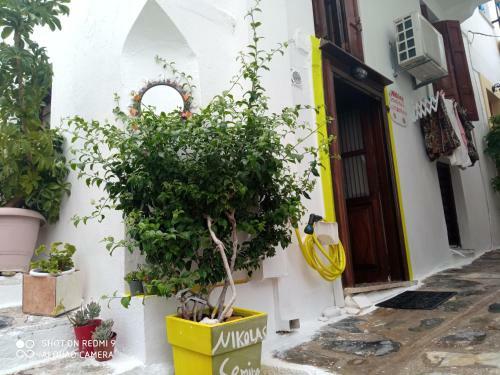 Apartamento Seminas Gar�onni�re