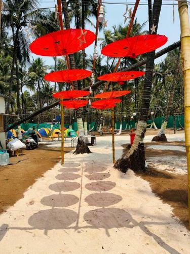 Beach Camping Alibag-revdanda