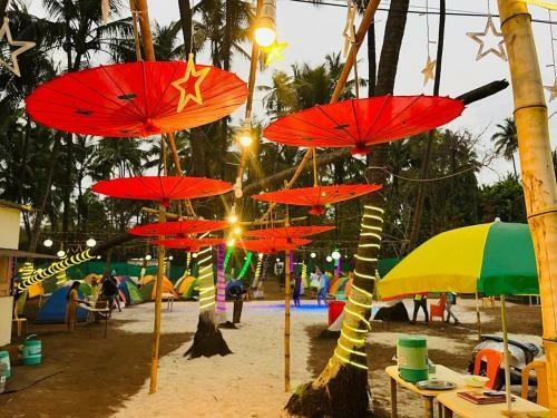 Beach Camping Alibag
