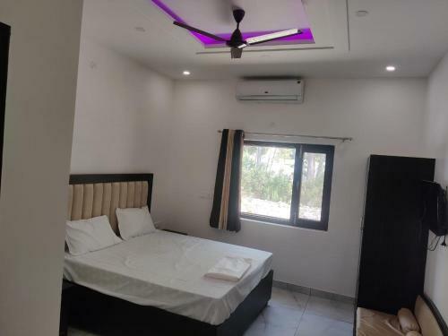 Hostal Royal Green Celebrate In Style