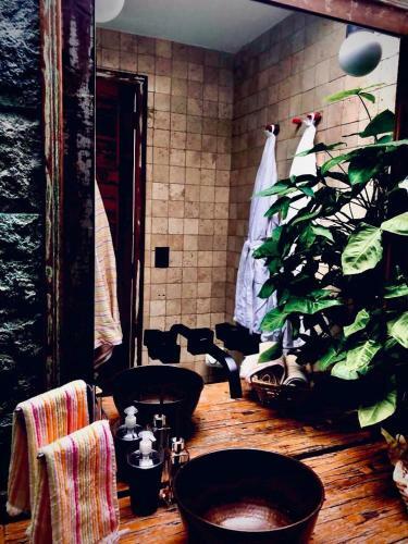 Bed & Breakfast Mansion Aline
