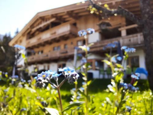 Apartamento Landhaus Knaus