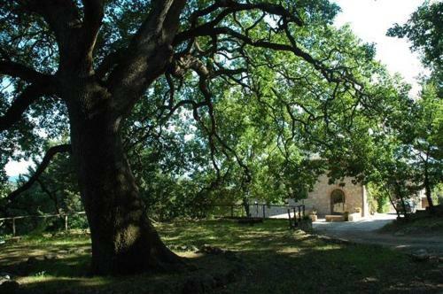 Agroturismo Fattoria Di Mugnano