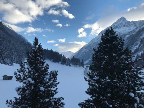 Apartamento Appartements Dobler