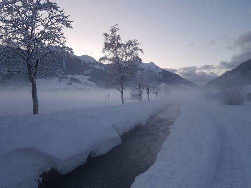 Apartamento Haus Guem