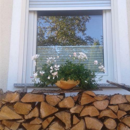 Apartamento Hochzillertalblick