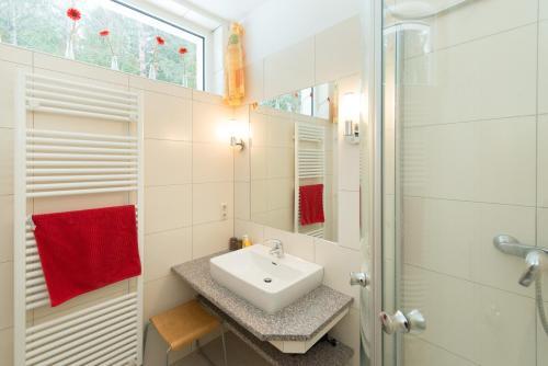 Apartamento Birkenhof - Schimek