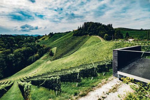 Posada Weingut Essgut Schlafgut Sabathihof-dillinger