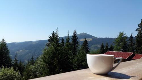 Bergzeit Klippitz