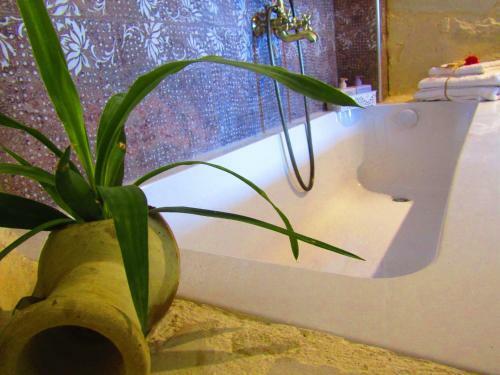 Aristos Apartments & Suites