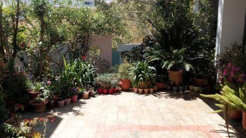 Apartamento Hotel Kleopatra