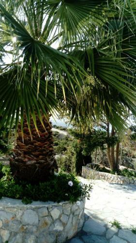 Apartamento Nisia