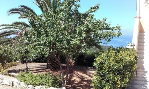 Apartamento Heliovasilema