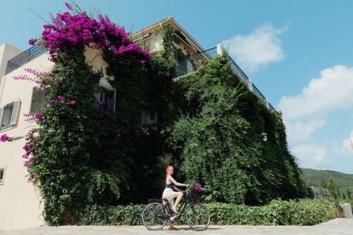 Aparthotel Emelisse Hotel