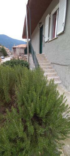 Apartamento Vytina Restplace