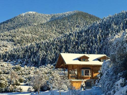 Vytina Log House