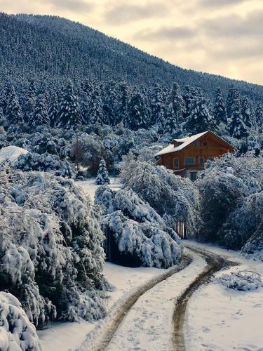 Vytina Log House