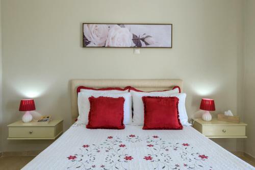 Nikos & Vassilis Apartments Kefalonia