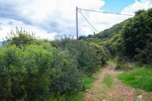 Zante Lagos Holiday Homes Treehouse And Villa