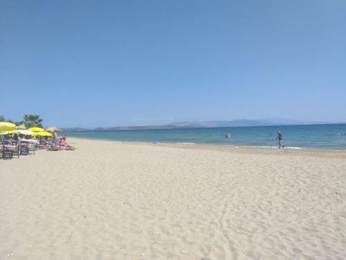 Palmar Club - Villa Zenobia