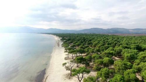 Palmar Club - Villa Zenobia