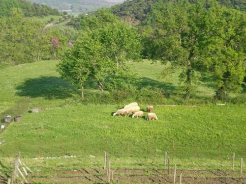 Apartamento Country Home Genesi 20 Min From Trikala