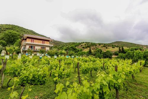 Apartamento Country Home Genesi 20 Min From Trikala