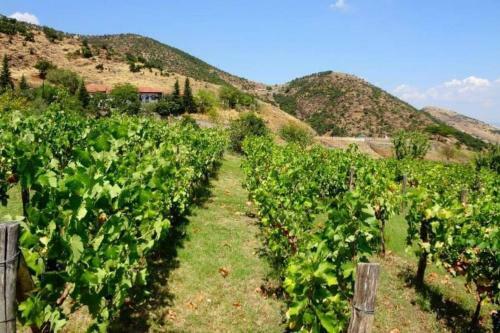 Apartamento Country Home Genesi 20 Min From Trikala