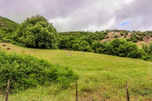 Apartamento Country Home Genesi 20 Min From Trikala