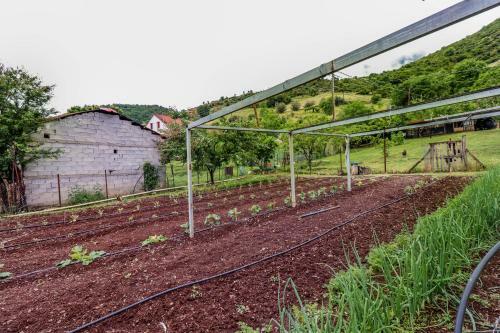 Apartamento Country Home Genesi 20 Min From Trikala