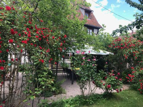 Apartamento Gites La Cour Zaepffel