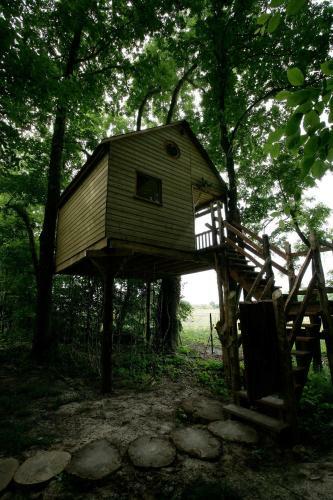 La Cabane Aux Secrets - Au Milieu De Nulle Part